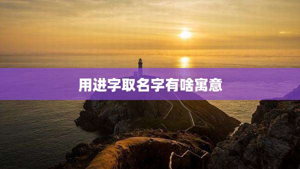 用进字取名字有啥寓意