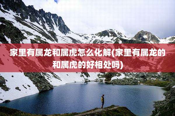 家里有属龙和属虎怎么化解(家里有属龙的和属虎的好相处吗)