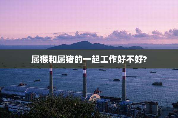 属猴和属猪的一起工作好不好?