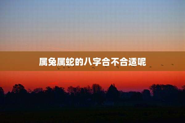 属兔属蛇的八字合不合适呢