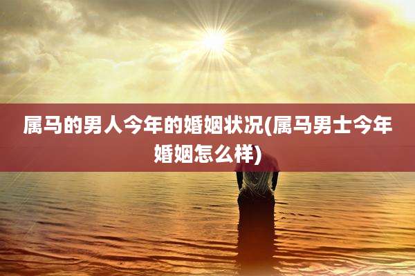 属马的男人今年的婚姻状况(属马男士今年婚姻怎么样)