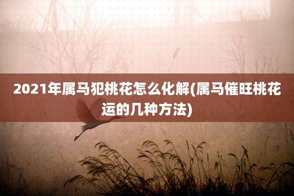 2021年属马犯桃花怎么化解(属马催旺桃花运的几种方法)