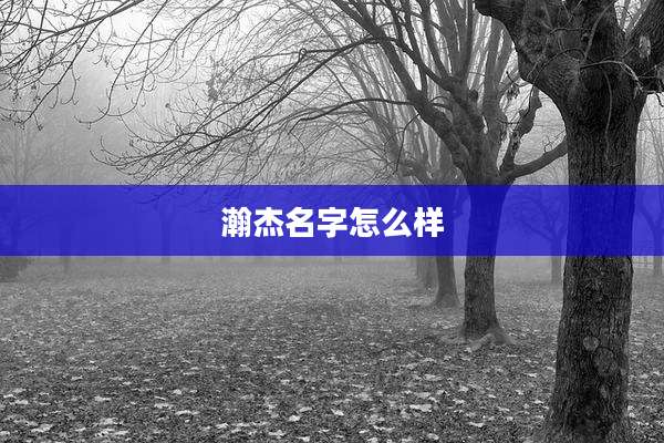 瀚杰名字怎么样