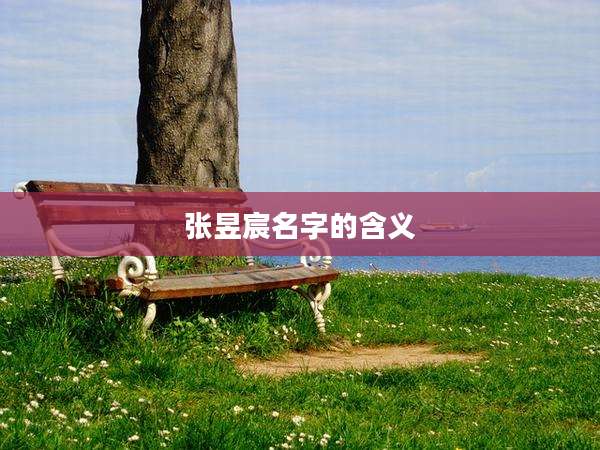 张昱宸名字的含义