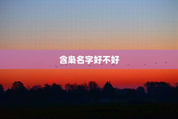 含枭名字好不好