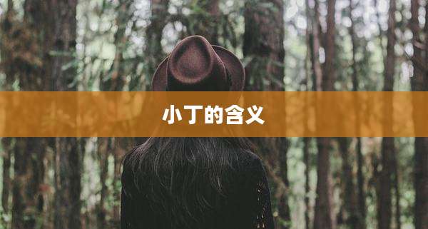 小丁的含义