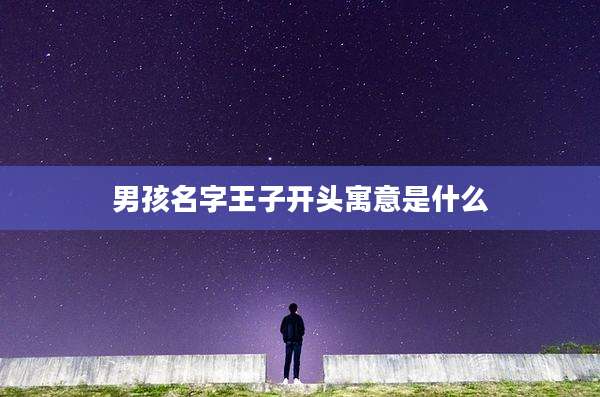 男孩名字王子开头寓意是什么