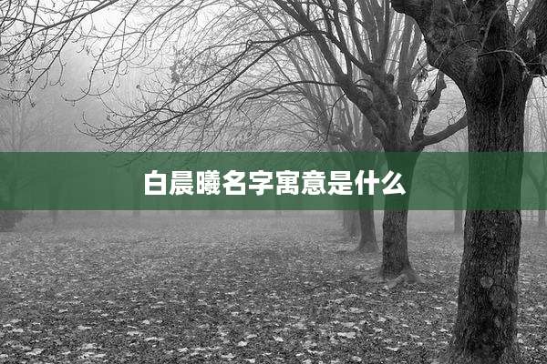 白晨曦名字寓意是什么