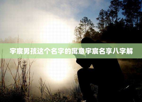 宇宸男孩这个名字的寓意宇宸名享八字解