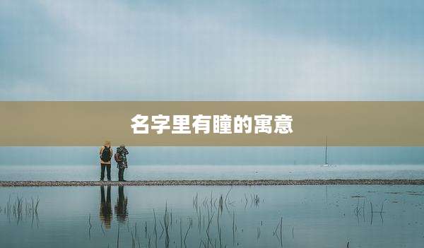 名字里有瞳的寓意