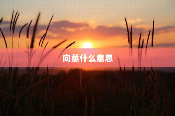 向蕙什么意思