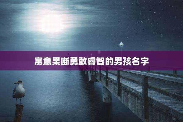 寓意果断勇敢睿智的男孩名字