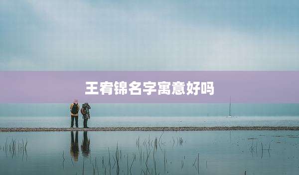 王宥锦名字寓意好吗