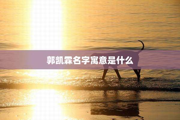 郭凯霖名字寓意是什么