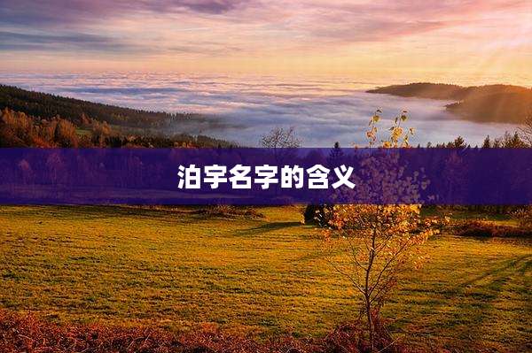 泊宇名字的含义