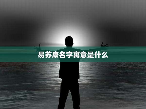 易苏康名字寓意是什么