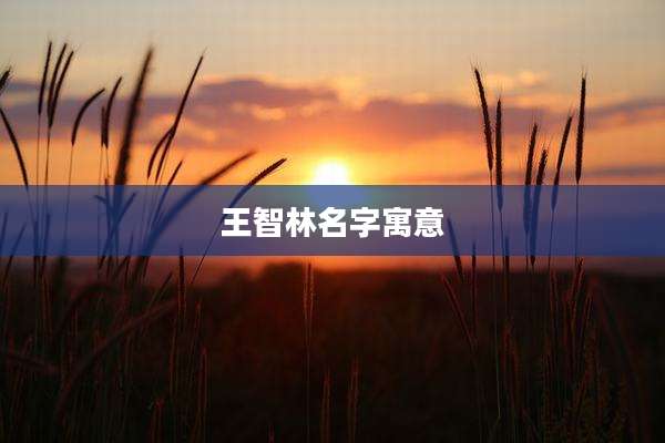 王智林名字寓意