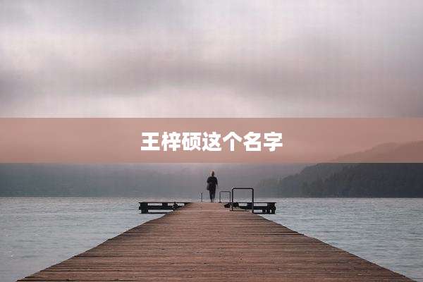 王梓硕这个名字