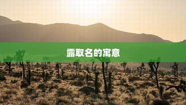 露取名的寓意