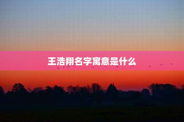 王浩翔名字寓意是什么