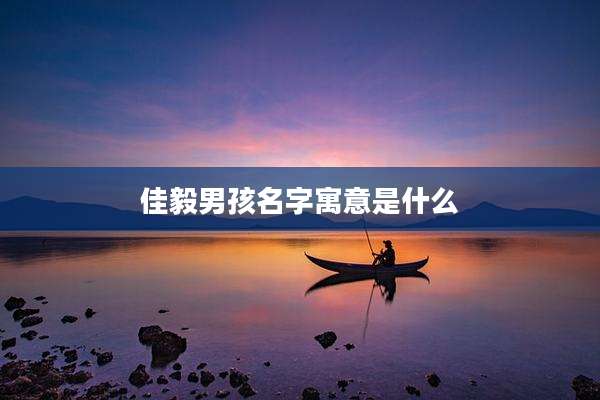 佳毅男孩名字寓意是什么