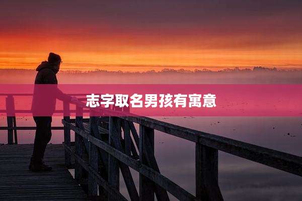 志字取名男孩有寓意