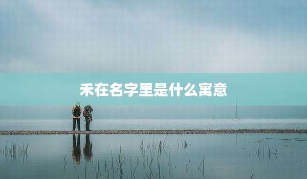 禾在名字里是什么寓意