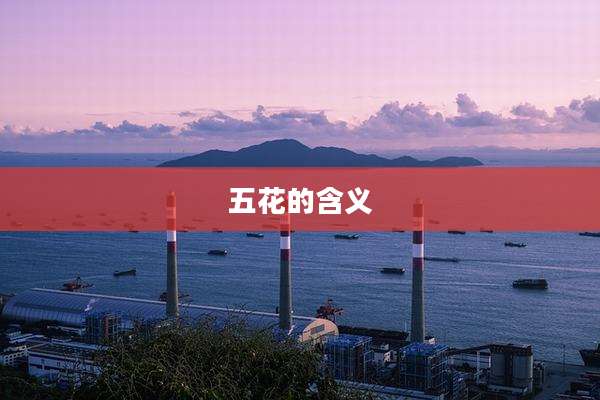 五花的含义