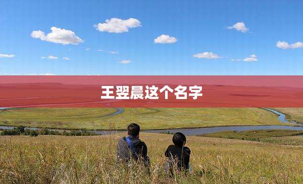 王翌晨这个名字