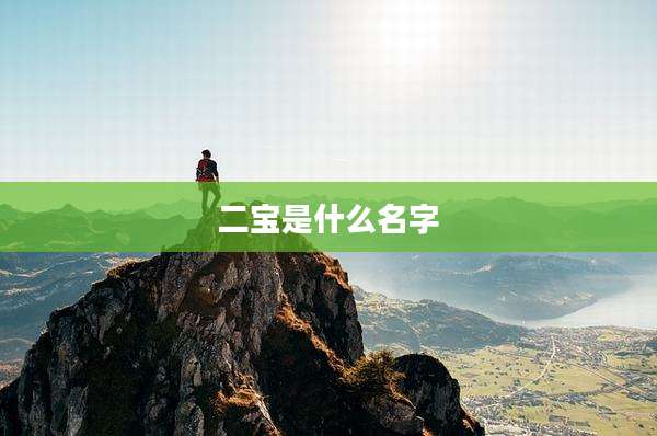 二宝是什么名字