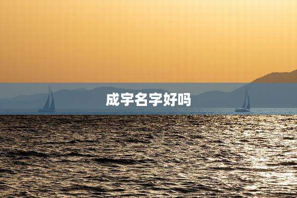 成宇名字好吗