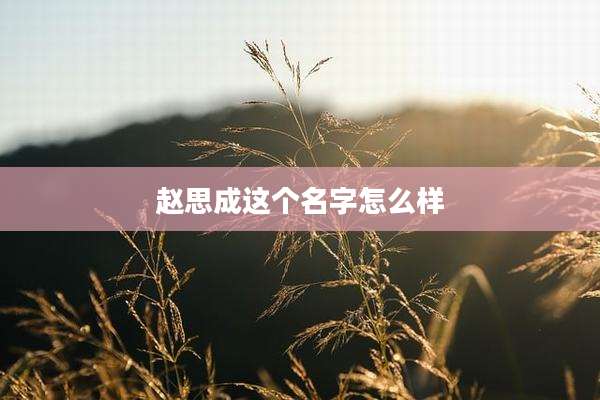 赵思成这个名字怎么样