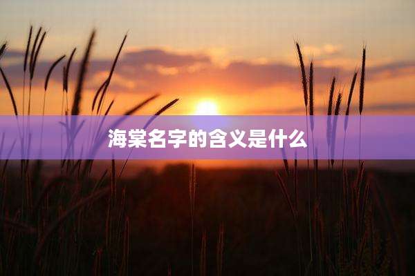 海棠名字的含义是什么
