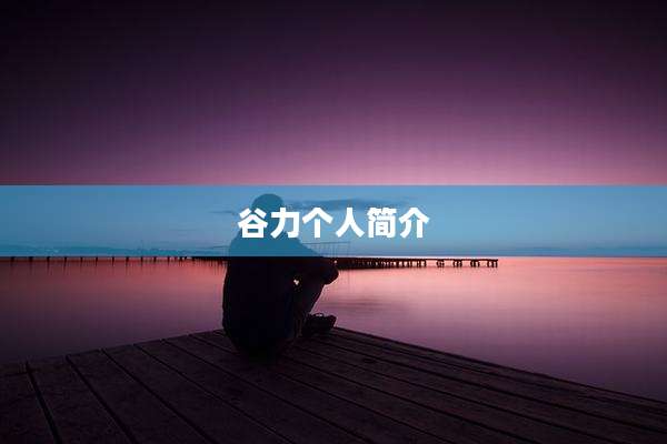 谷力个人简介