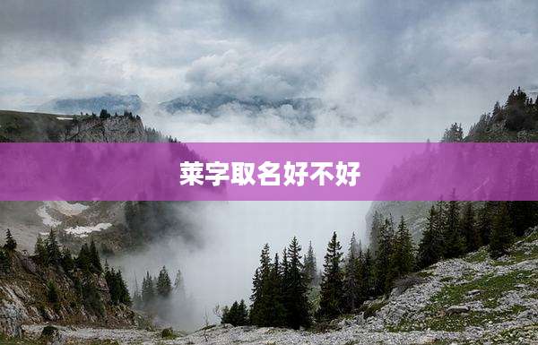 莱字取名好不好