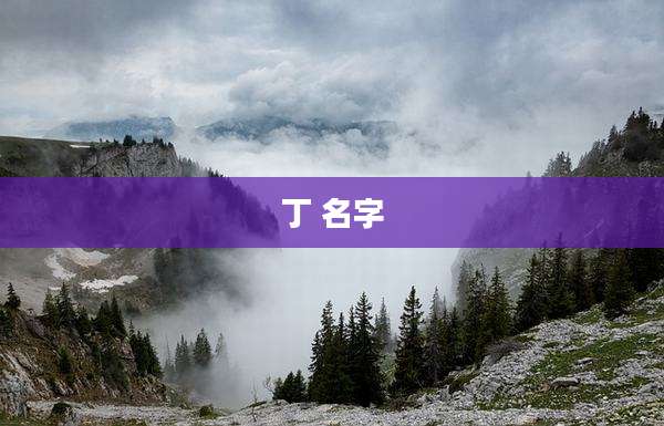 丁 名字
