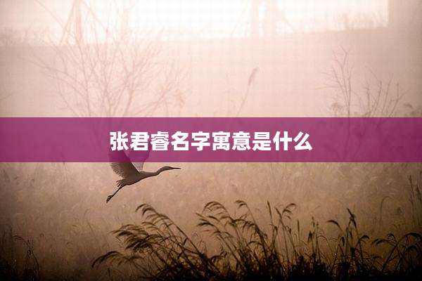 张君睿名字寓意是什么