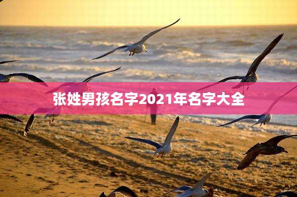 张姓男孩名字2021年名字大全