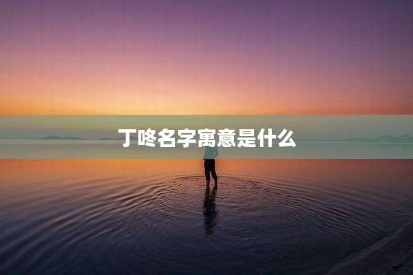 丁咚名字寓意是什么