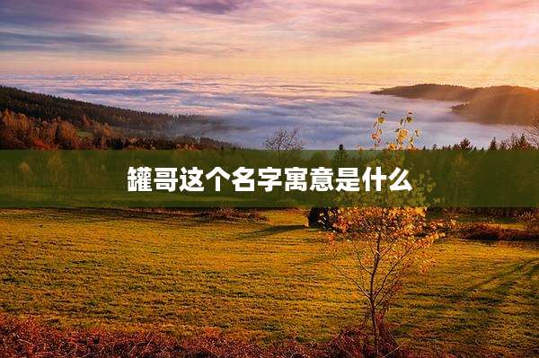 罐哥这个名字寓意是什么