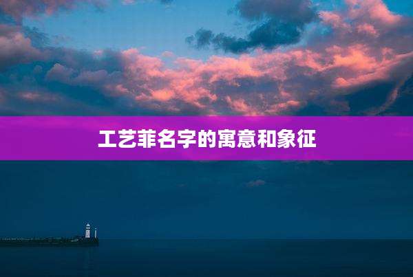 工艺菲名字的寓意和象征