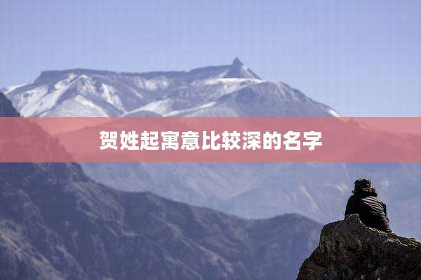 贺姓起寓意比较深的名字