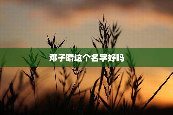 邓子晴这个名字好吗
