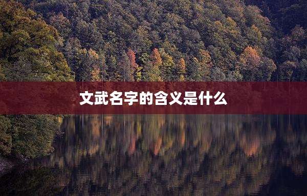 文武名字的含义是什么