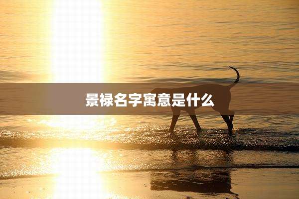 景禄名字寓意是什么