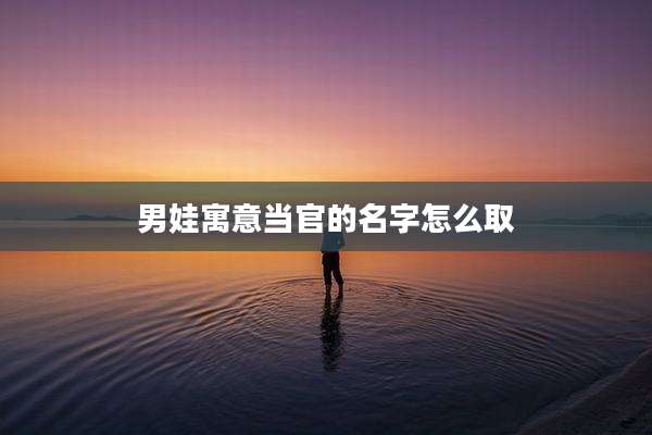 男娃寓意当官的名字怎么取