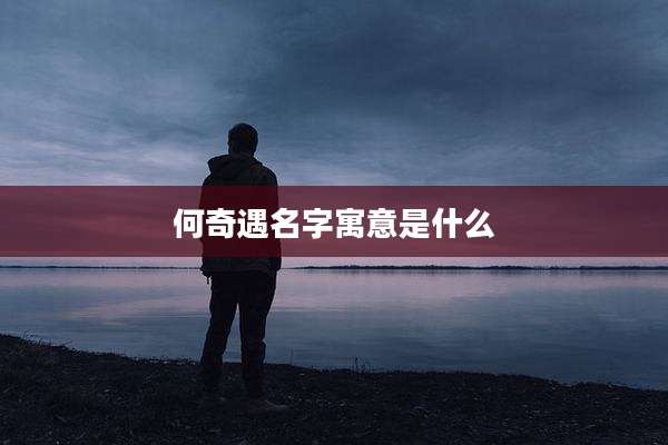 何奇遇名字寓意是什么