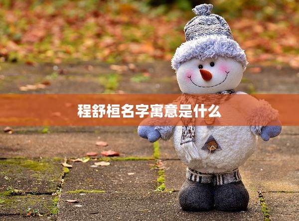 程舒桓名字寓意是什么