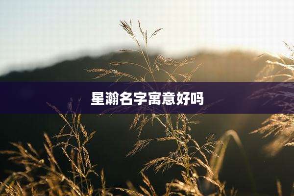 星瀚名字寓意好吗