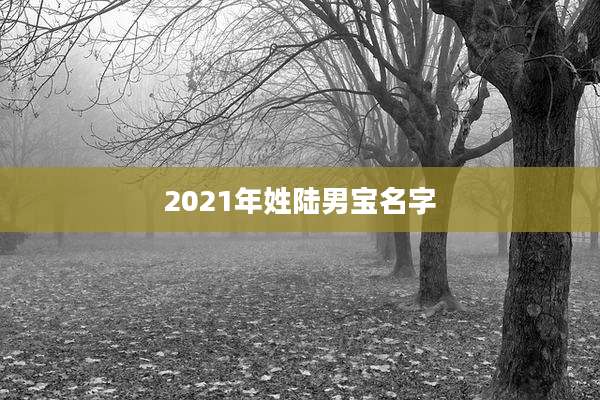 2021年姓陆男宝名字